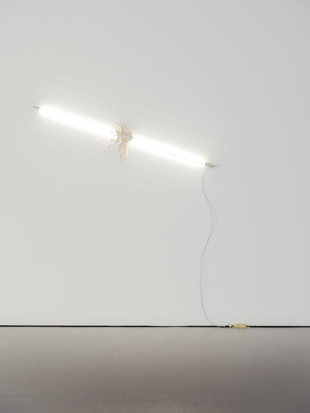 Brecht Heytens, ‘Plastered neon’, 2016