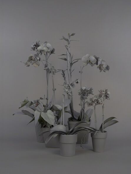Stephanie Syjuco, ‘Neutral Orchids (Cluster 1)’, 2016