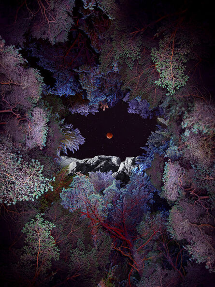 Linda Westin, ‘Illuminated Dendrology - Lunar Introspection’, 2020
