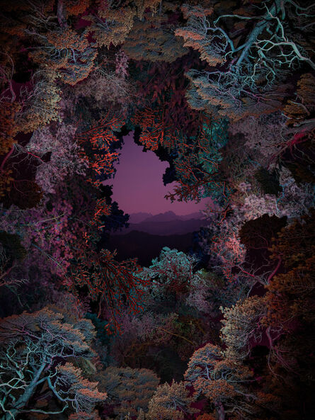 Linda Westin, ‘Illuminated Dendrology - Dimensional Forest’, 2020