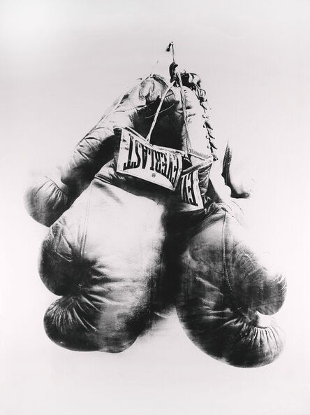 T.R. Ericsson, ‘Boxing Gloves (Everlast)’, 2019