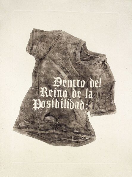 Jonathan Herrera Soto, ‘Dentro del Reino de la Posibilidad: / Within the Realm of Possibility’, 2020