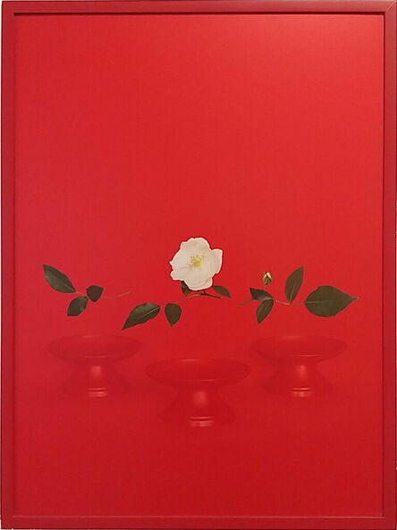 Sarah Charlesworth, ‘Red Bowls (Small Version)’, 2005