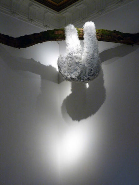Elodie Antoine, ‘Paresseux gris clair (Sloth)’, 2014