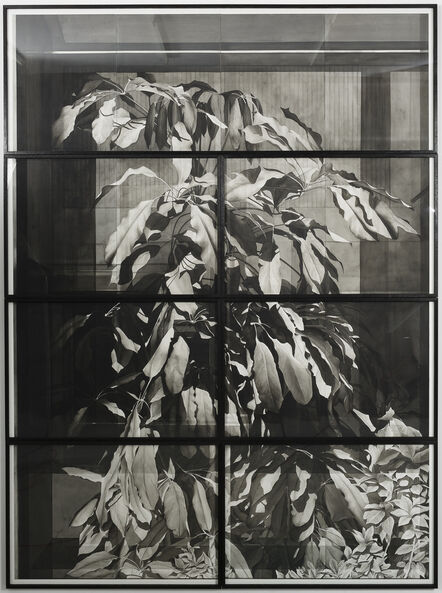 Justin Weiler, ‘Plante en vitrine’, 2019