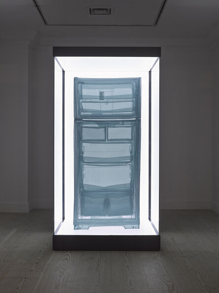 Do Ho Suh, ‘Specimen Series: Refrigerator, Apartment A, 348 West 22nd Street, New York, NY 10011, USA’, 2013