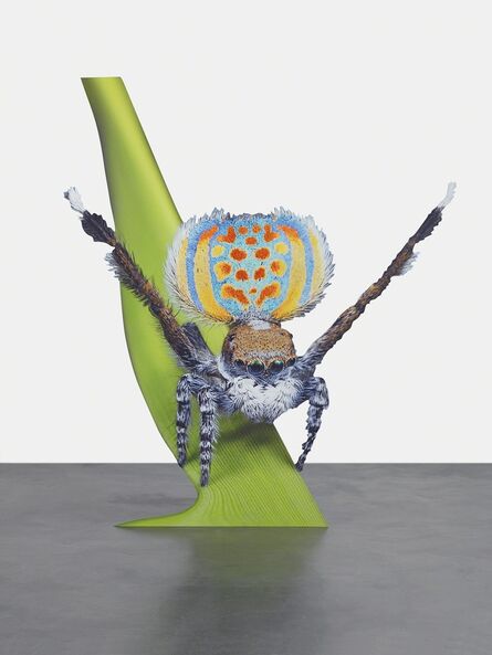 Katja Novitskova, ‘Approximation (peacock spider)’, 2015