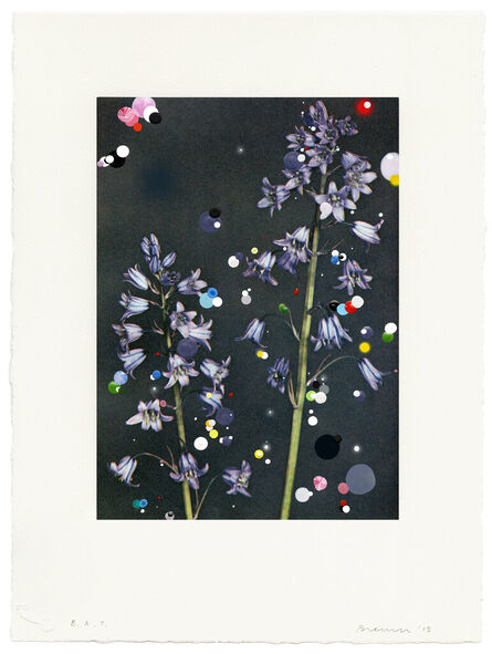 Sebastiaan Bremer, ‘Bloemen: Scilla Campanulata’, 2015