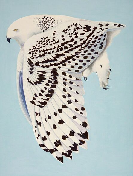 Scott Kelley (b. 1963), ‘Snowy Owl’, 2014