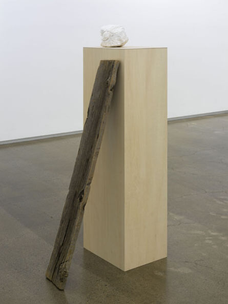 Yuki Kimura, ‘reproduction’, 2009
