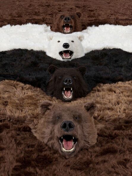 Paola Pivi, ‘I'm a bear, so what?’, 2012