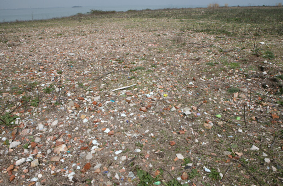 Sacca San Mattia, the Abandoned Island of Murano, Venice