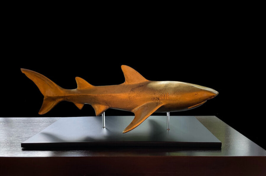 Shark (Small)