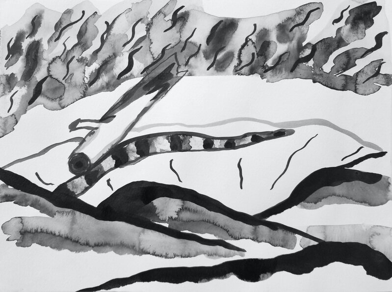 Carl Baratta, ‘Brush Canyon Trail’, 2019, Drawing, Collage or other Work on Paper, Sumi ink on paper, Open Mind Art Space