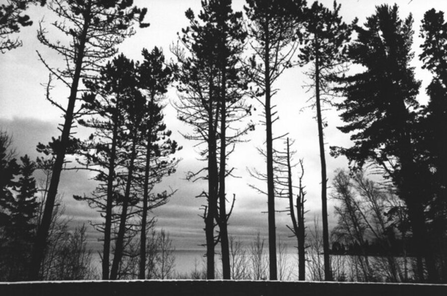 Minnesota, from the series, "Highway 61"