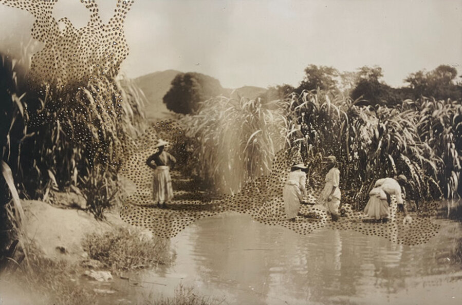 Swarm (007_2024)_by the river