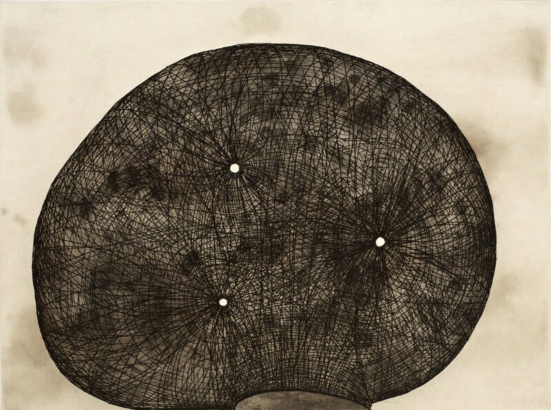 Martin Puryear, ‘Three Holes’, 2002, Print, Color softground etching with spitbite aquatint, Paulson Fontaine Press