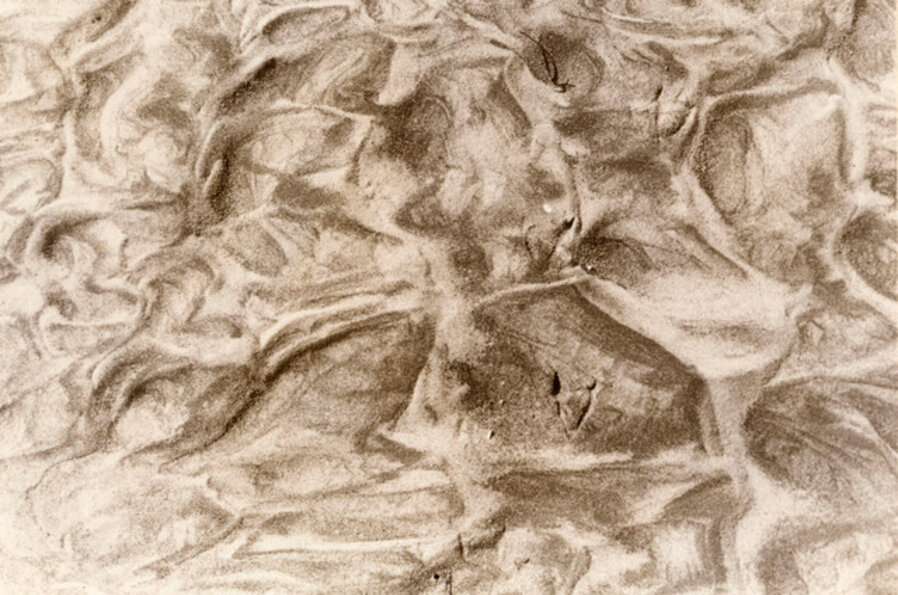 Sand- Jones Beach
