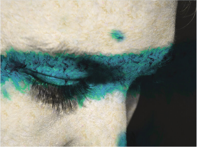 Daniel Gastaud, ‘Julia's Eye Turquoise ’, 2016, Photography, Photo, Feathers under Plexiglas, EDEN Gallery