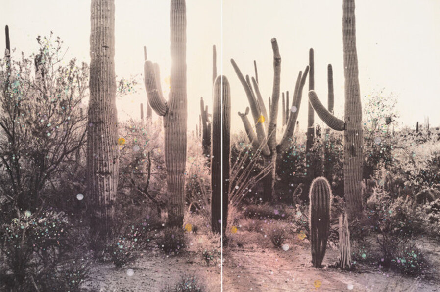 Majestic Sunset with Sauguaros Reaching the Sky Diptych (Arizona)