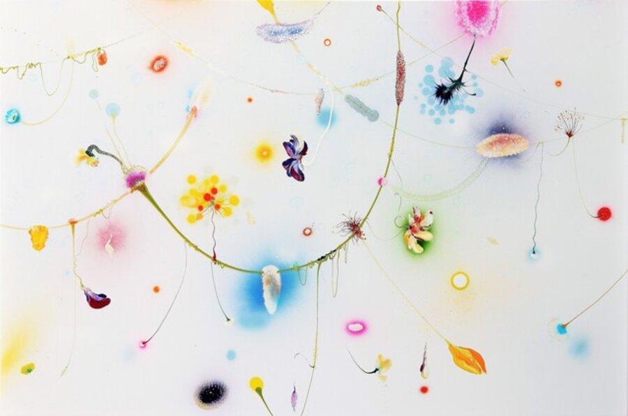 "Raingarden Equinox"