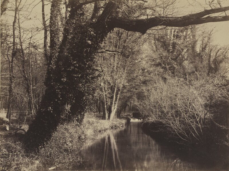 Eugène Cuvelier, ‘Parc de Courances’, late 1850s, Photography, Albumen print from paper negative mounted on paperboard, National Gallery of Art, Washington, D.C.