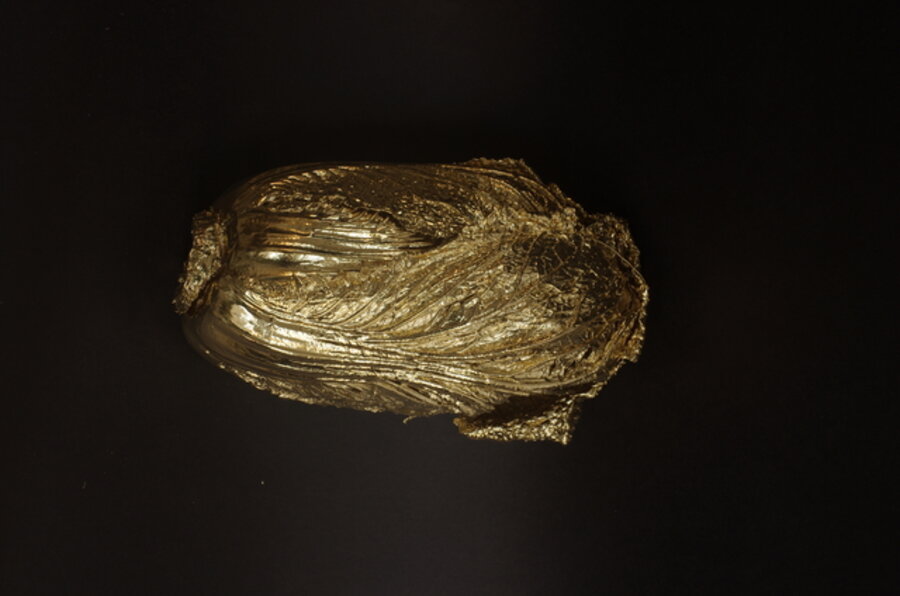 A Quick Change ─ A Quick Change ─ Gold Cabbage No.10 《金蝉脱壳·金百财》十号