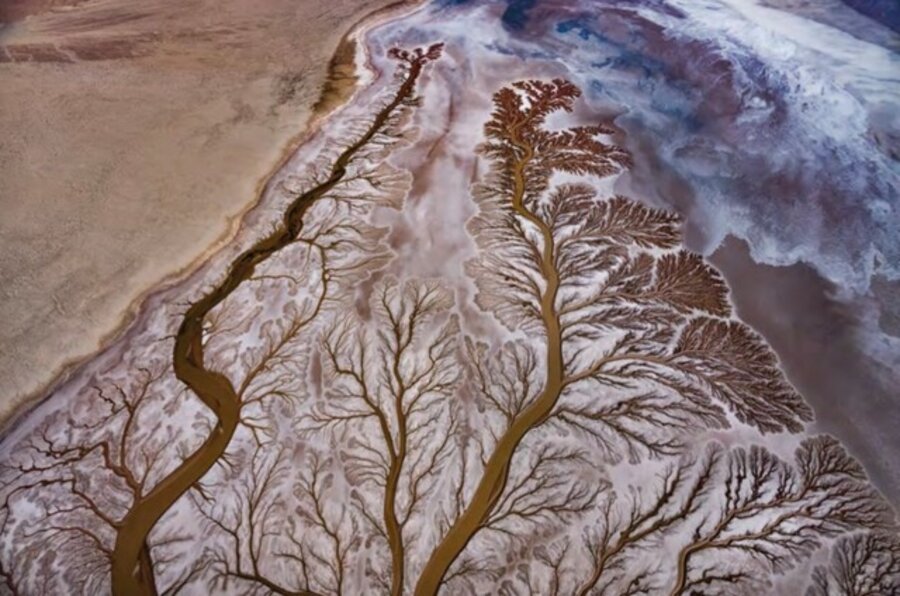 Gaia's Lungs