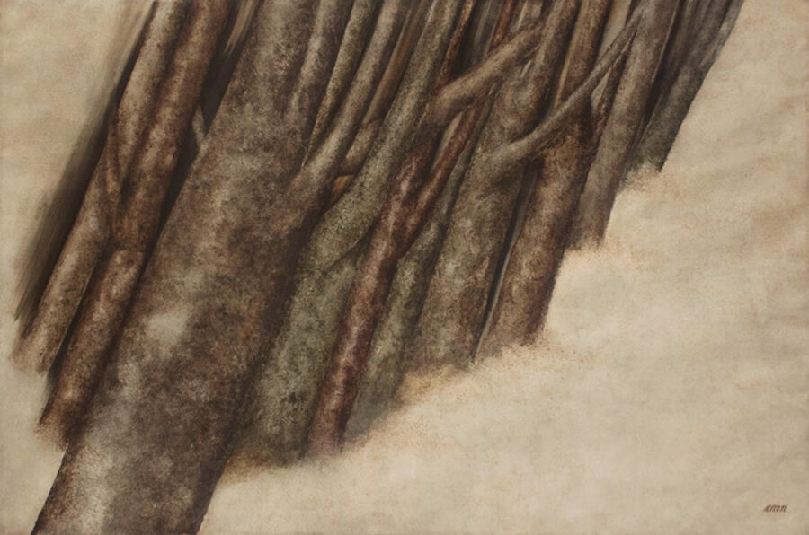 Untitled (from the Trees series)