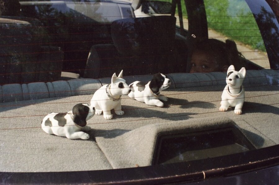 Nodding Dogs
