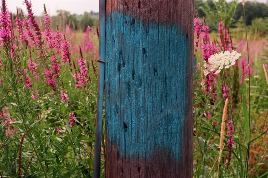 Blue Pole