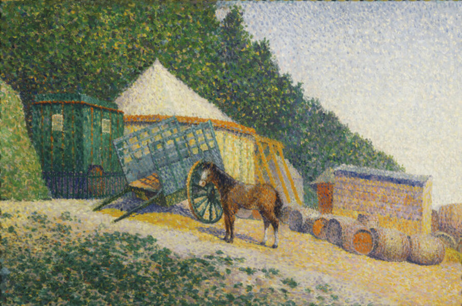 Little Circus Camp
