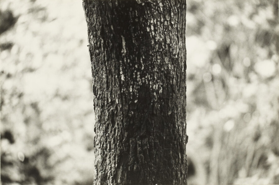 P. W. – No.70