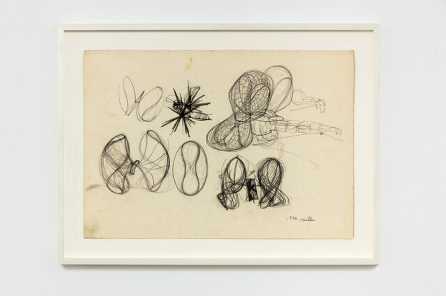 Untitled (zborul) / Untitled (the flight)