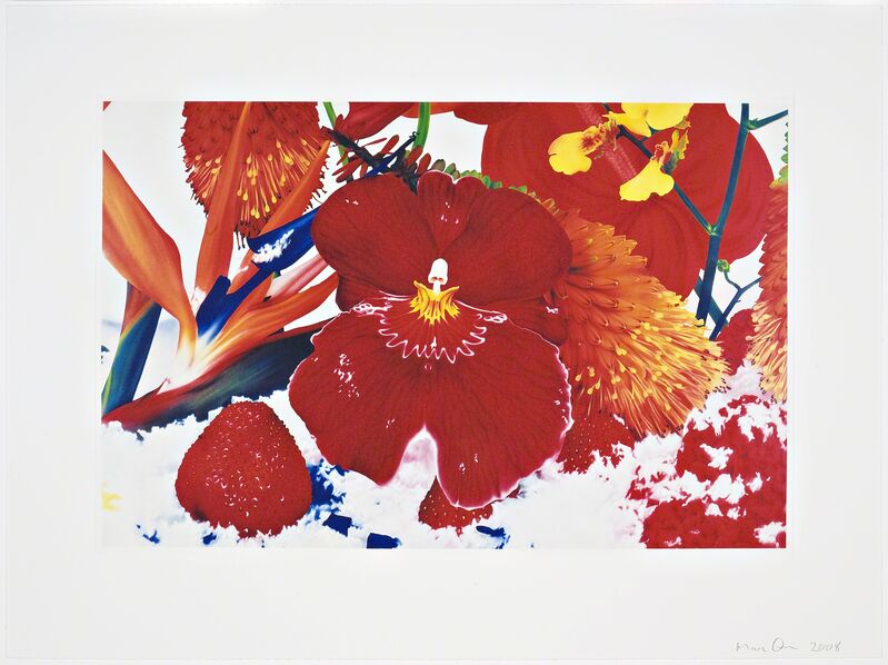 Marc Quinn, ‘Untitled 02 from Six Moments of Sunrise on the Ganges Delta’, 2008, Print, Etching, Paragon
