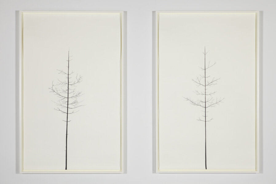 Winter Drawing (Summer Version), 30 vs. 31, Winter Drawing (Summer Version),