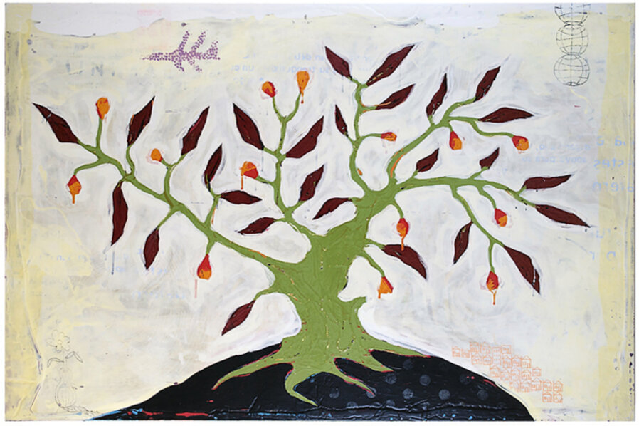 Jesuit Elderberry