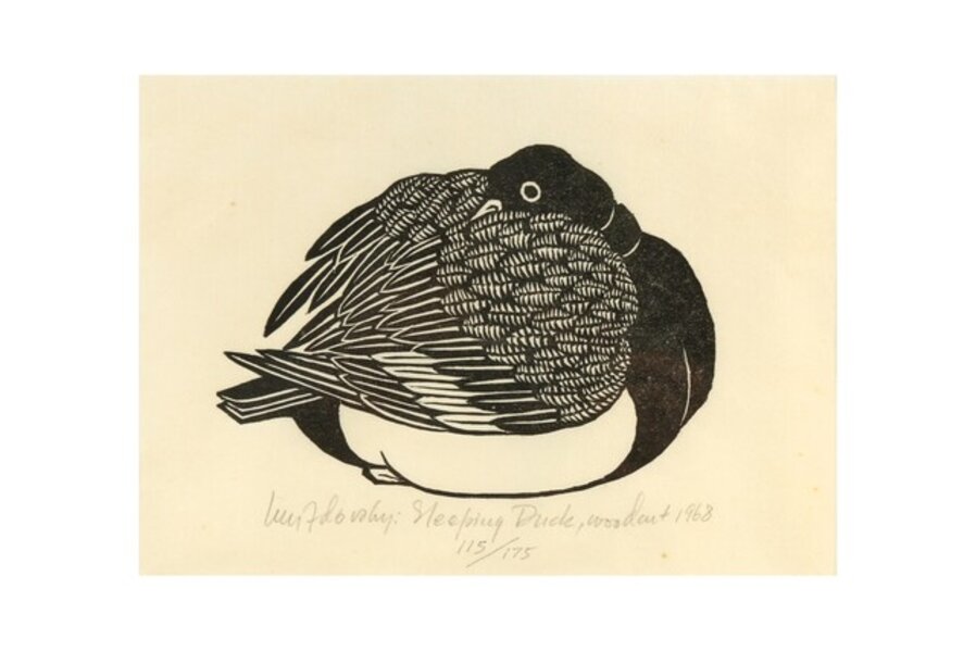 Sleeping Duck