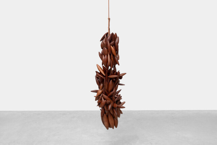 Seeds VII