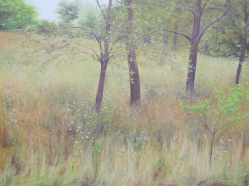 Ann E. Coulter, ‘Then Rain’, 2016, Painting, Oil on canvas, Argazzi Art