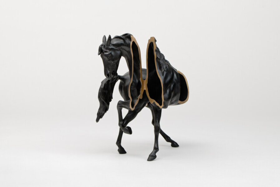 Zebroid