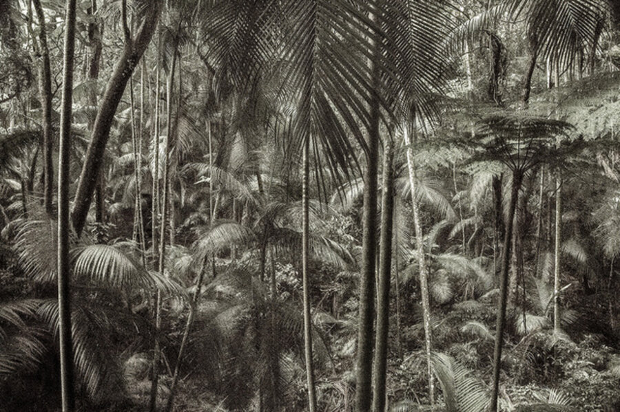 A picturesque voyage through Brazil # 02