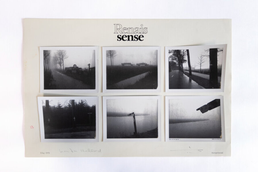 Untitled (from the series "Renais sense")