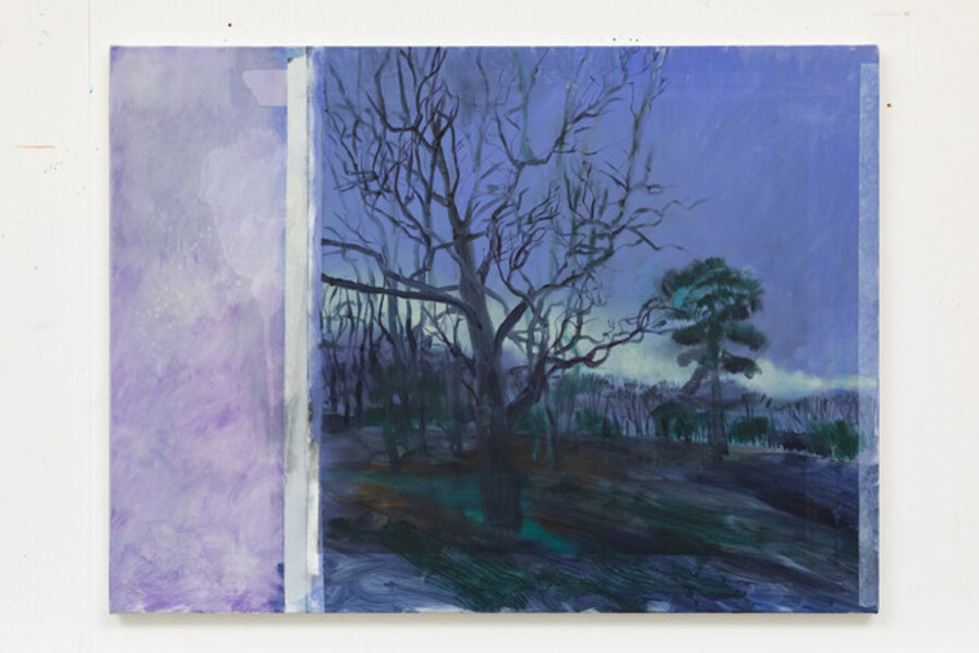 Twilight, Wimbledon Common