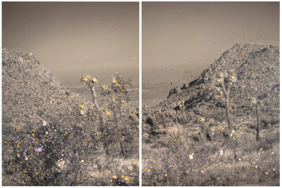 Palm Springs with Flowers (Joshua Tree National Park)