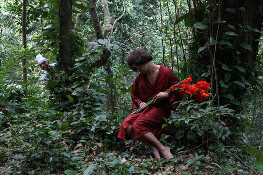 O Jardim | The Garden