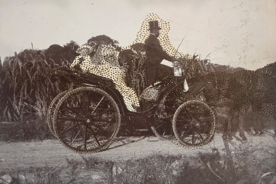 Swarm (012_2024)_under the coachman