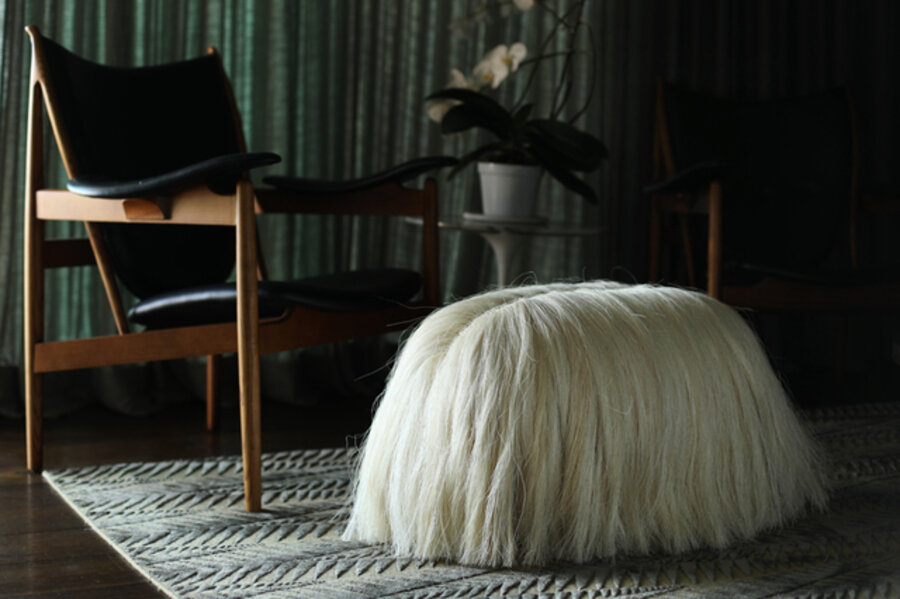 Sisal Dog