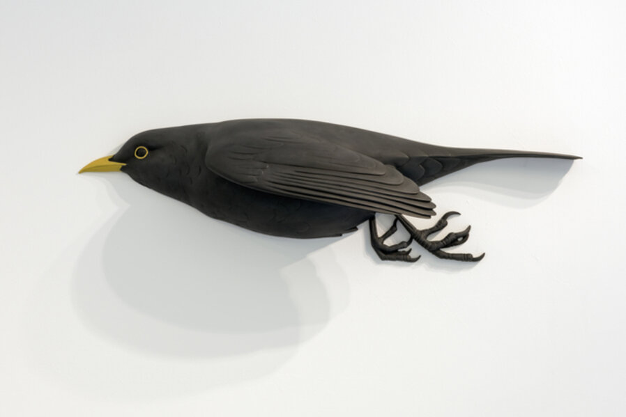 Blackbird (The Persistence of Vision) IV