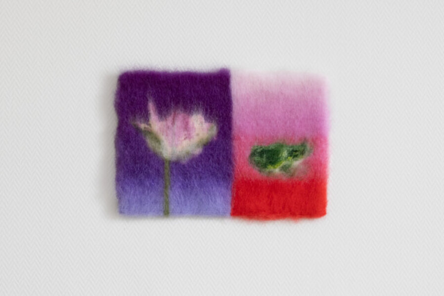 Tulip with frog